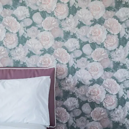 Damagi Nocleg ze śniadaniem